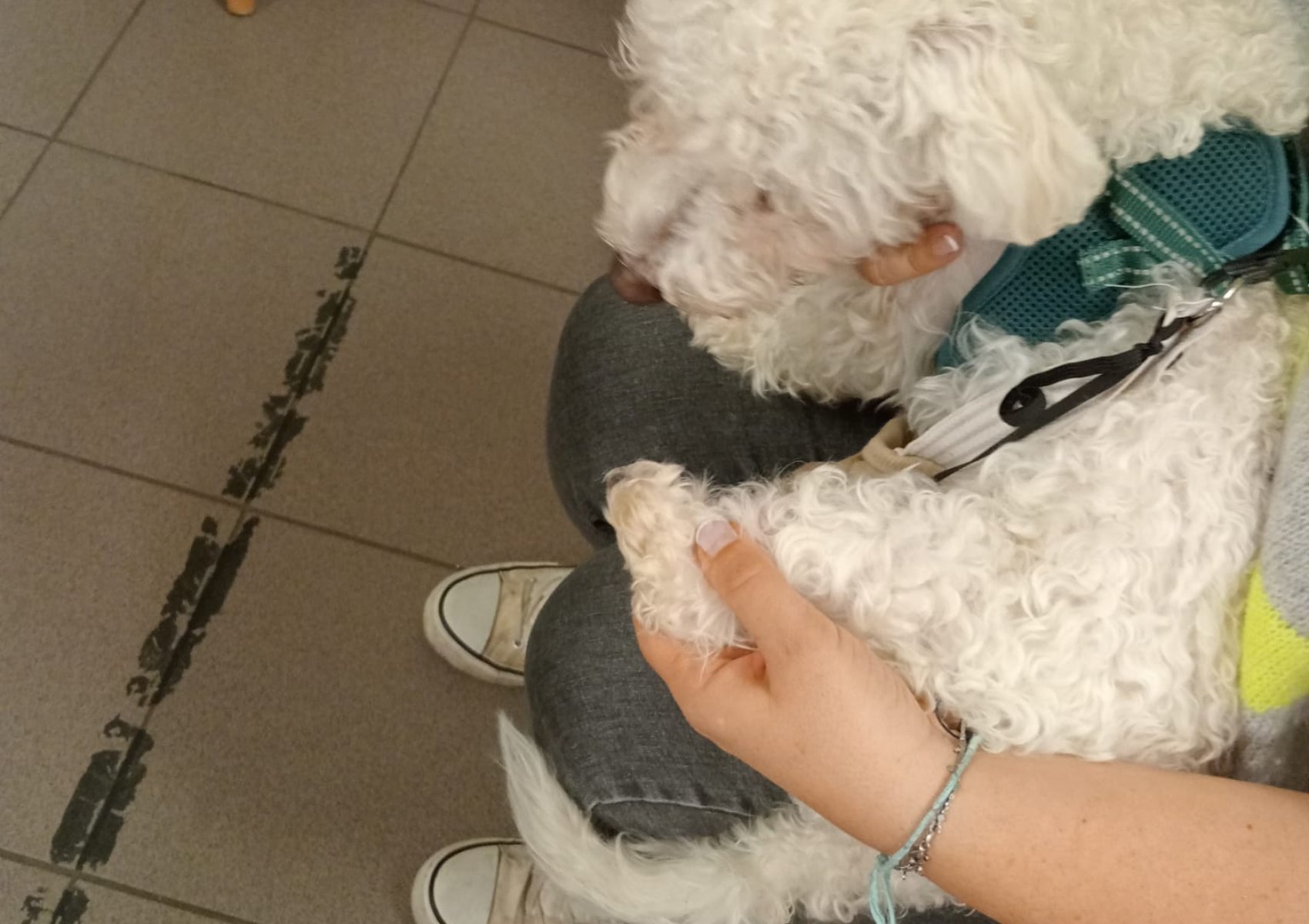 whatsapp image 2026-01-16 at 22.47.24